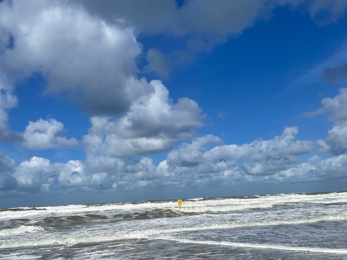 Vertrouwen